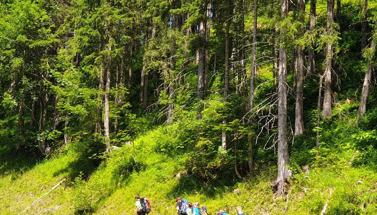 Laufener | © DAV Laufen