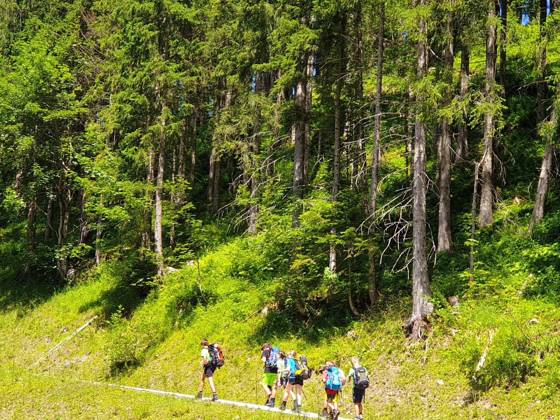 Laufener | © DAV Laufen