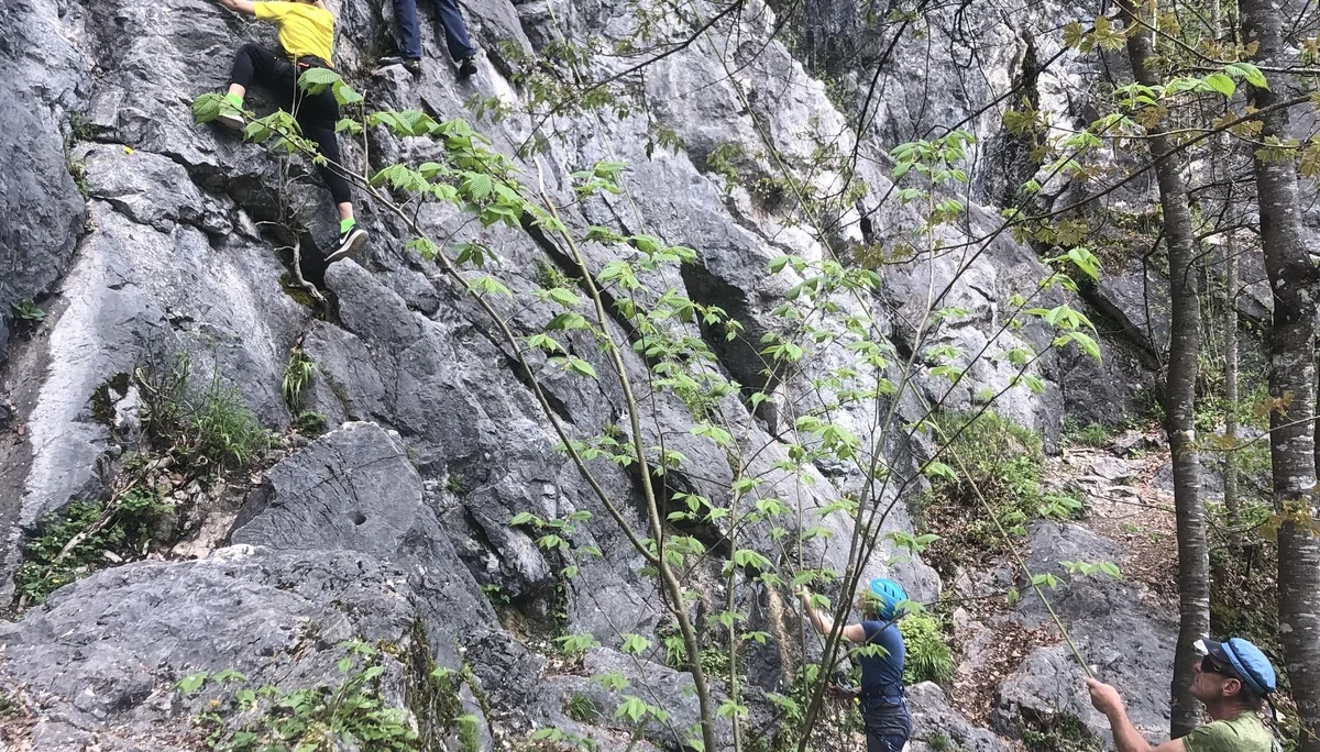 Klettern am Fels | © DAV Laufen