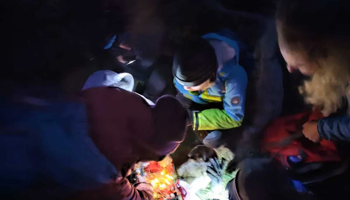 Fackelwanderung | © DAV Laufen