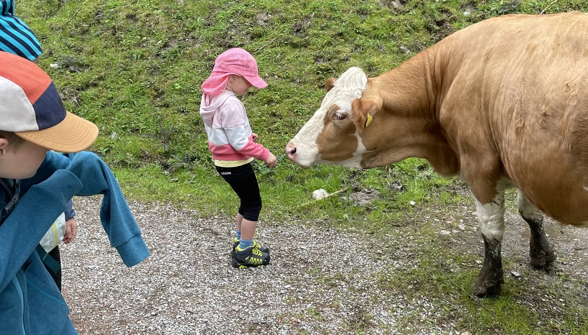 Bergmonster Franzl | © DAV Laufen