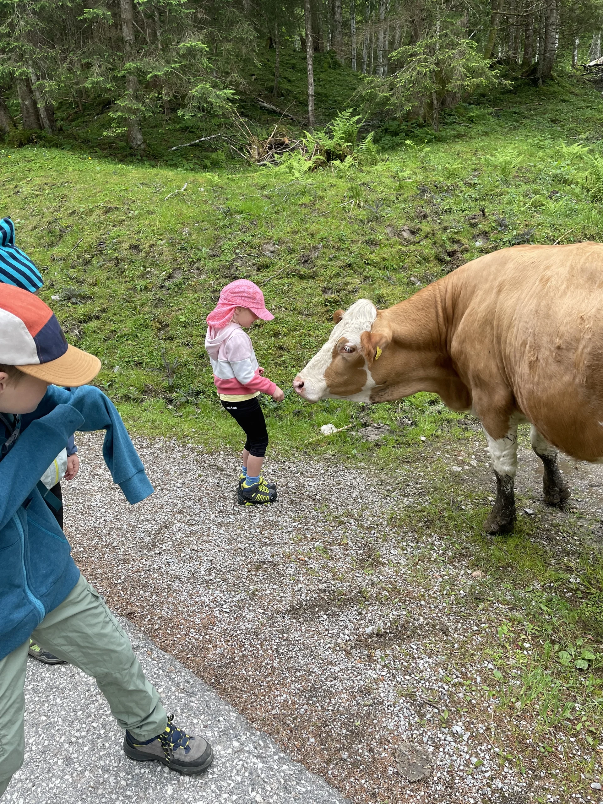 Bergmonster Franzl | © DAV Laufen