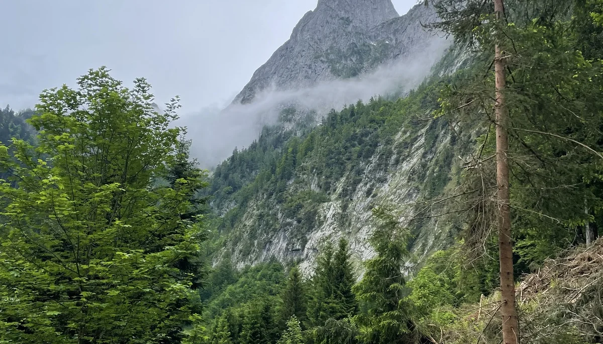 Bergmonster Franzl | © DAV Laufen