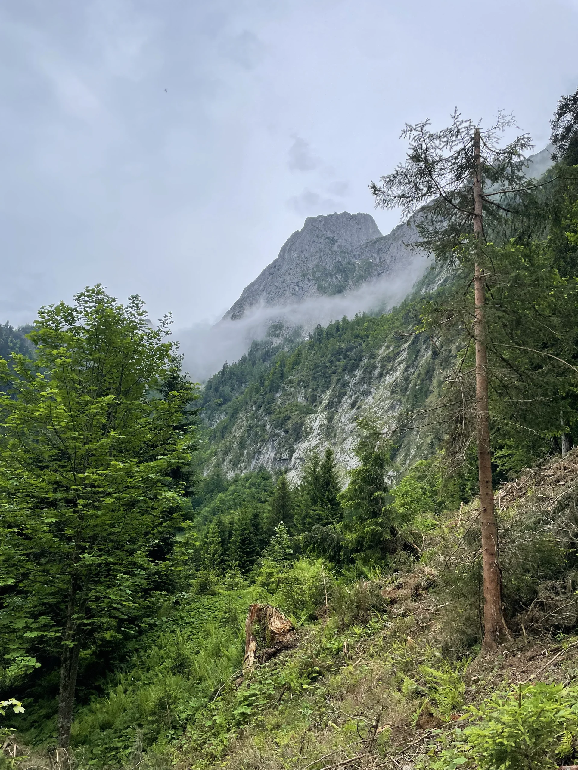 Bergmonster Franzl | © DAV Laufen