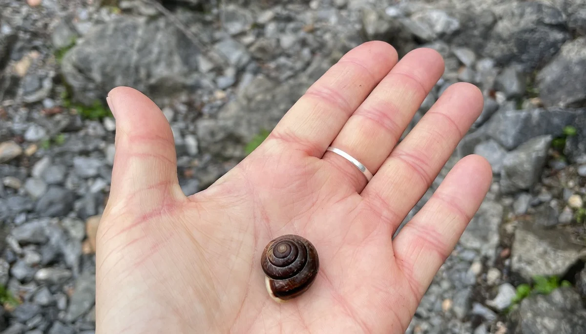 Bergmonster Franzl | © DAV Laufen