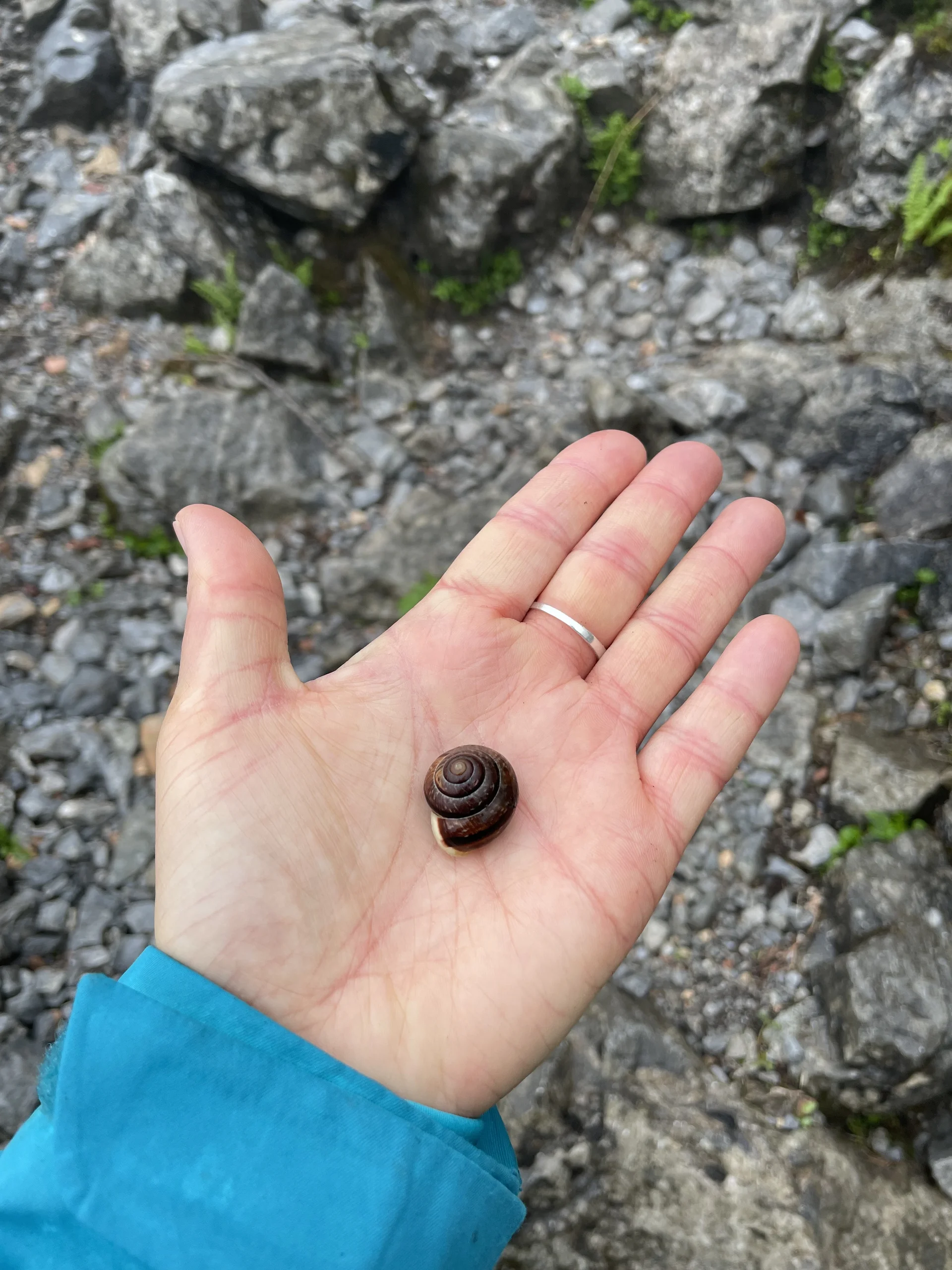 Bergmonster Franzl | © DAV Laufen