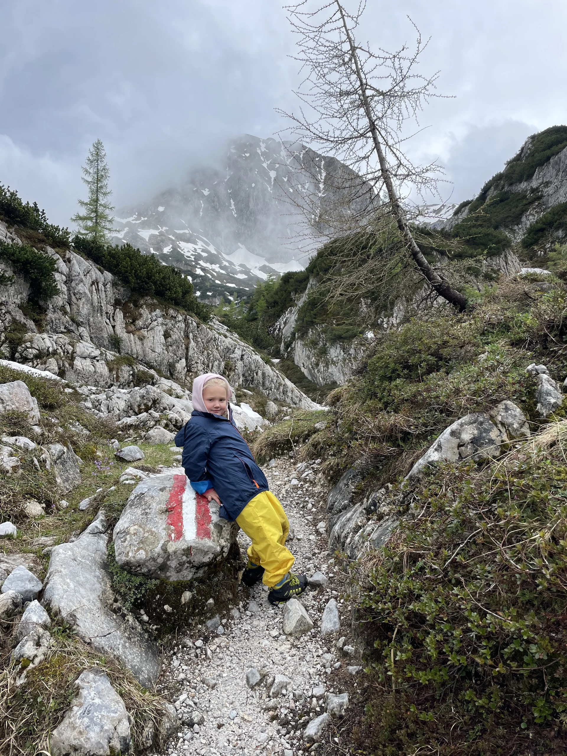 Bergmonster Franzl | © DAV Laufen