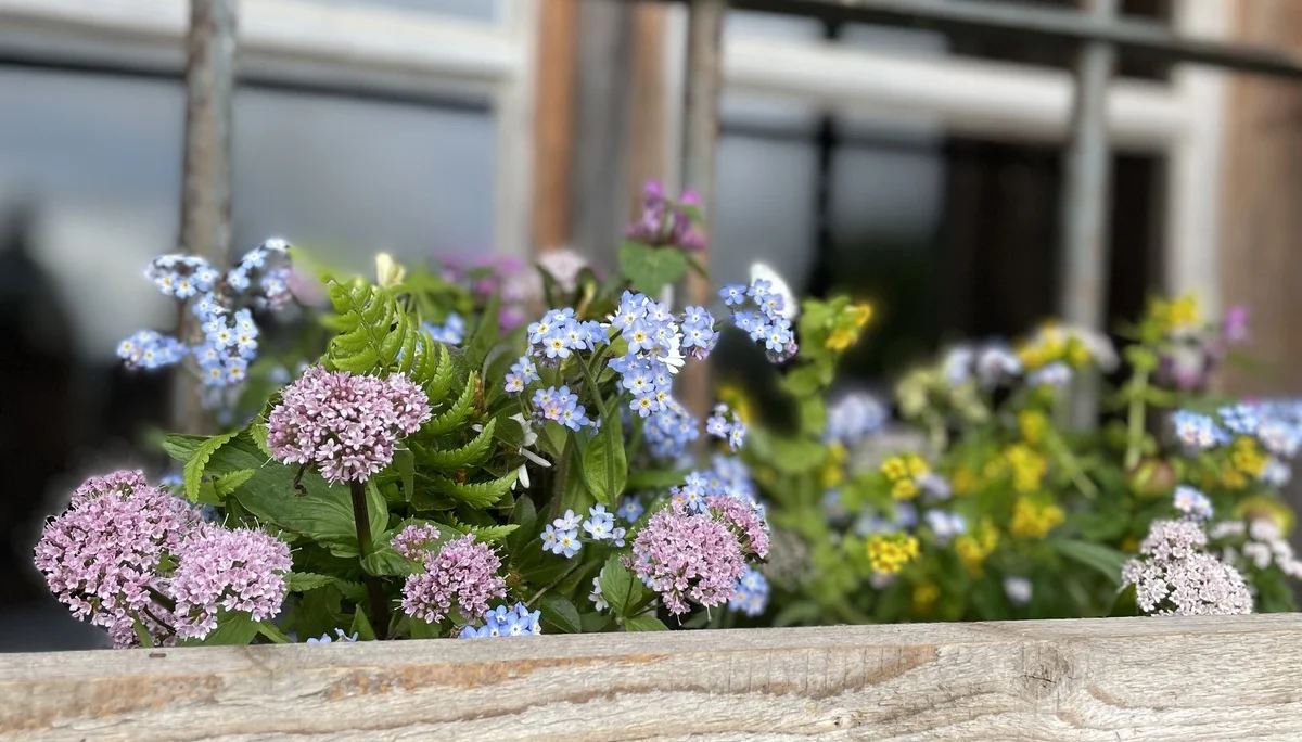 Bergmonster Franzl | © DAV Laufen