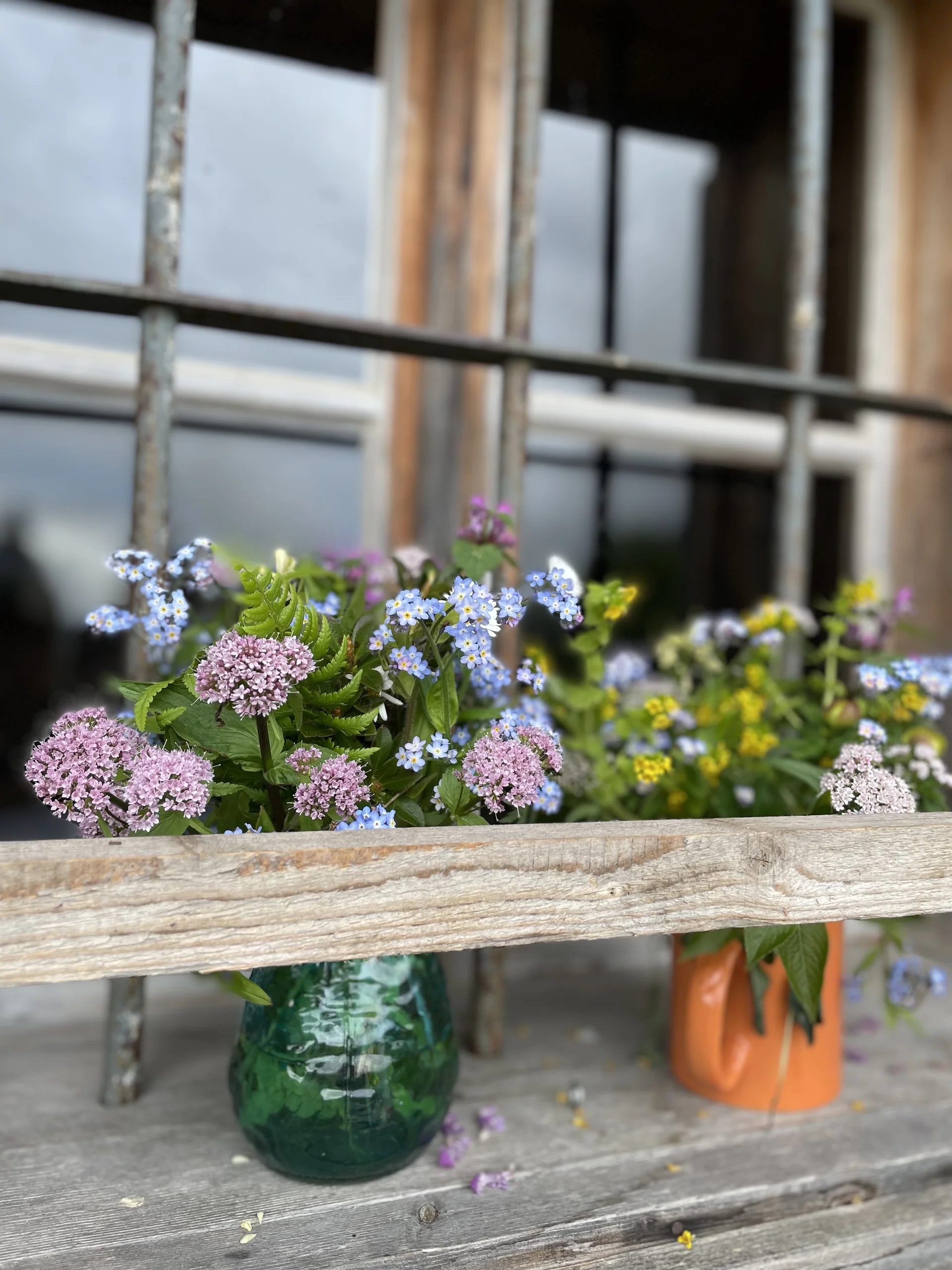 Bergmonster Franzl | © DAV Laufen