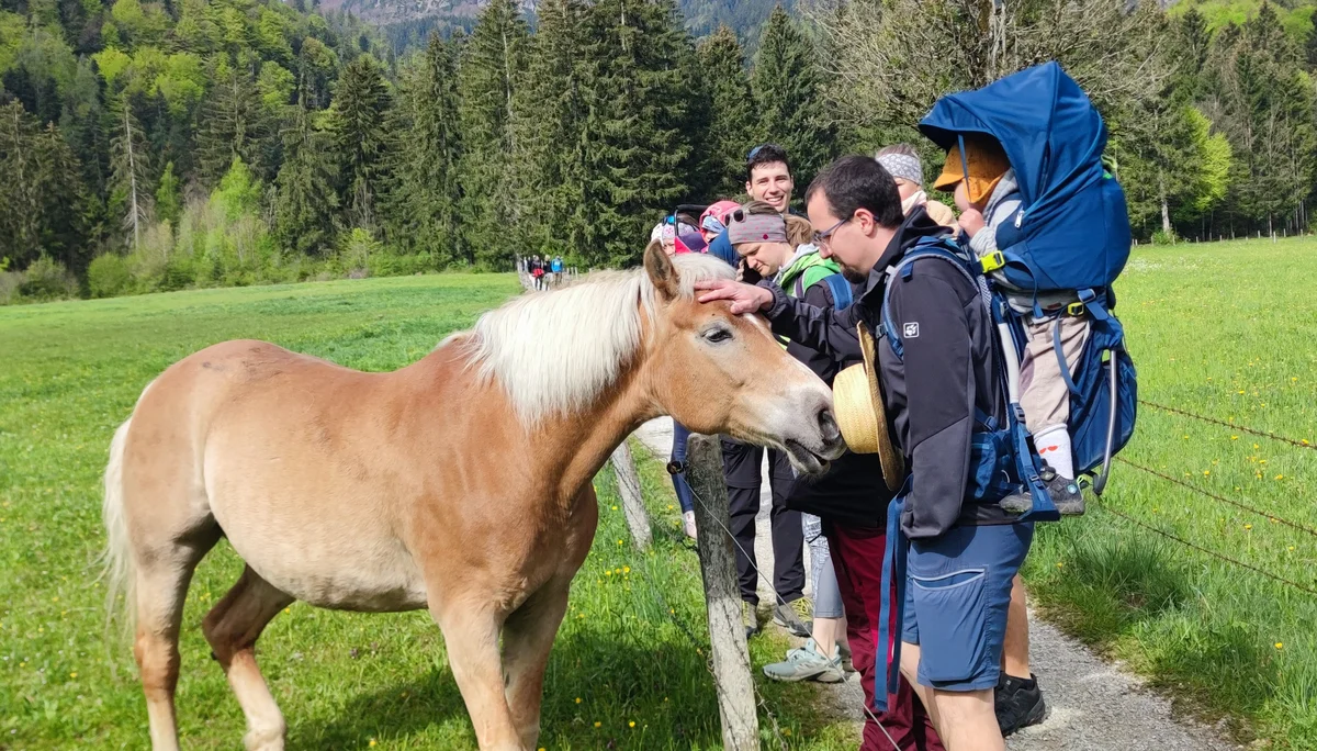 Schmugglerweg | © DAV Laufen
