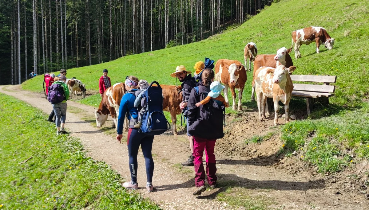 Schmugglerweg | © DAV Laufen