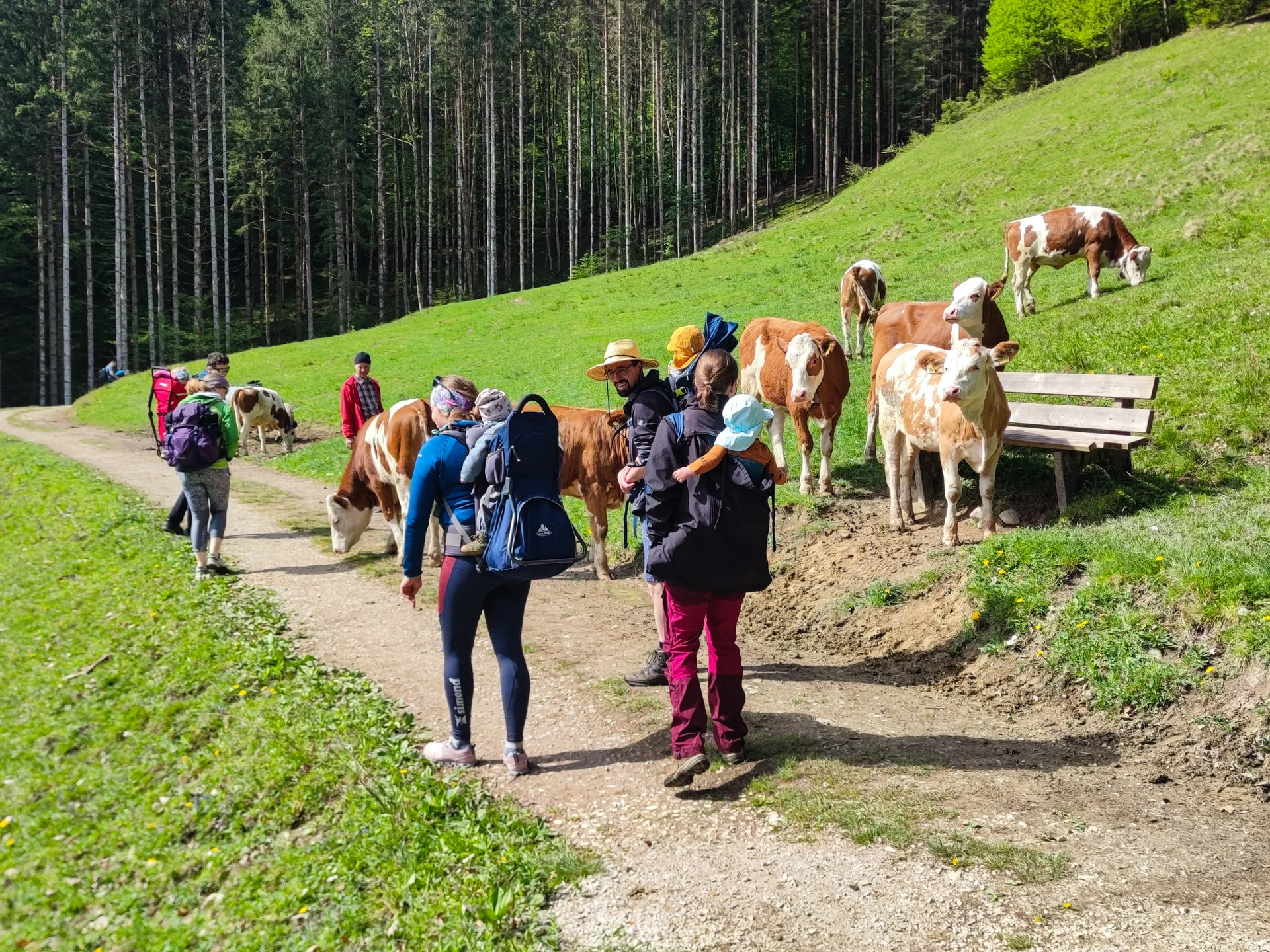 Schmugglerweg | © DAV Laufen