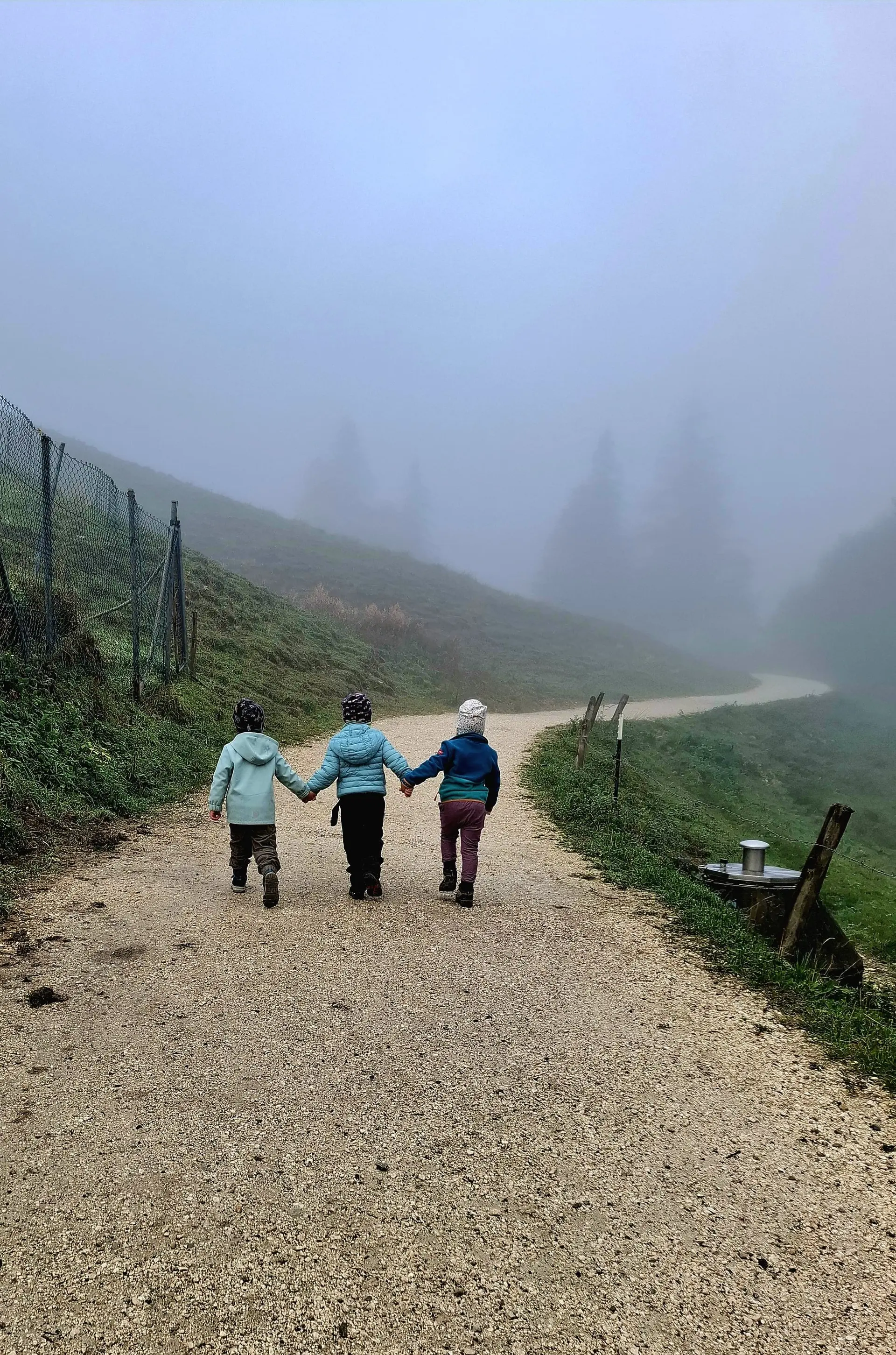 Bachschmiedkaser Hochfelln | © DAV Laufen