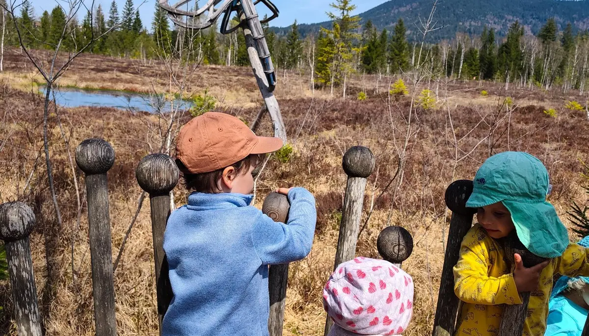 Moorerlebnis-Weg Inzell | © DAV Laufen
