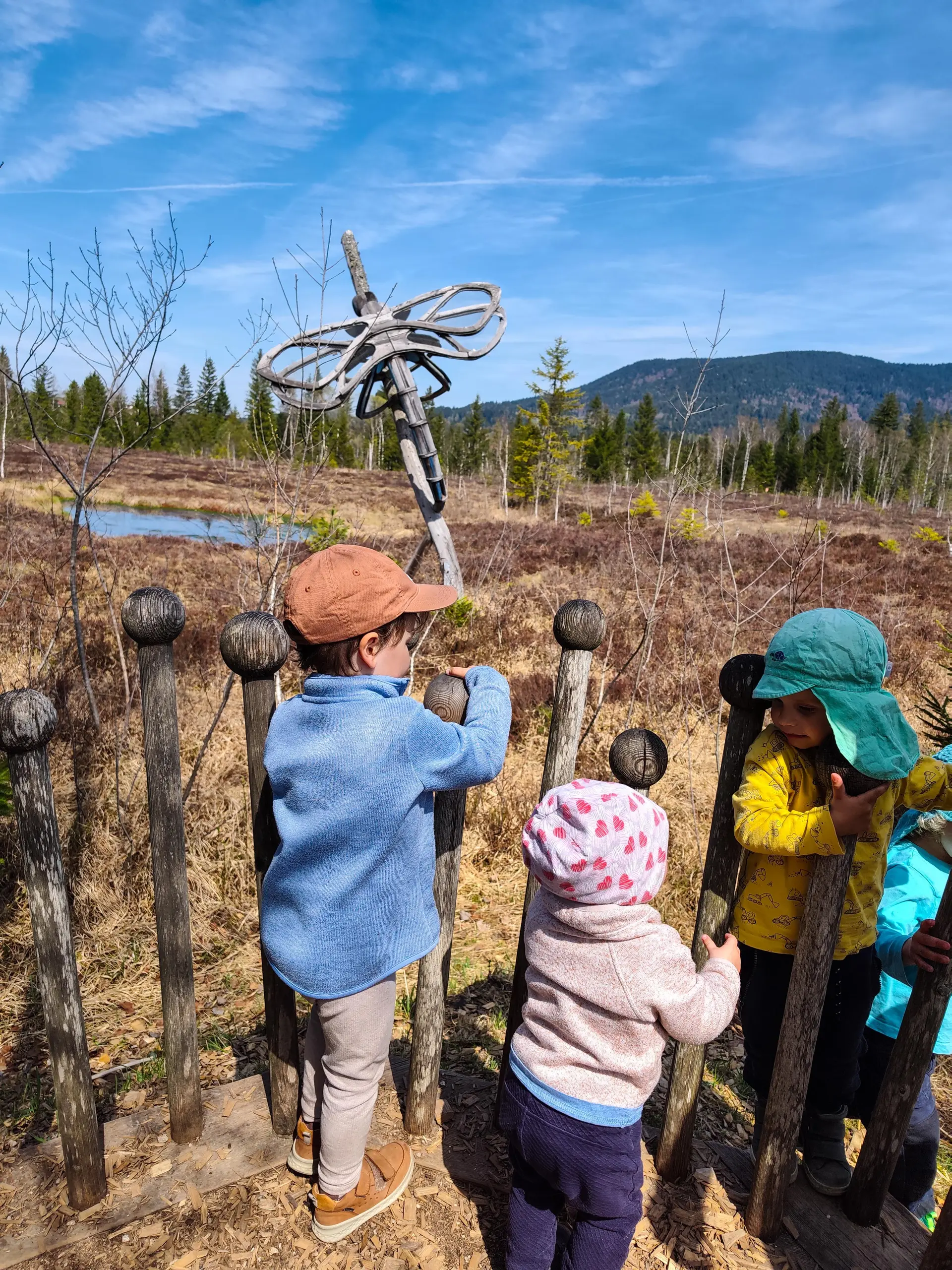 Moorerlebnis-Weg Inzell | © DAV Laufen