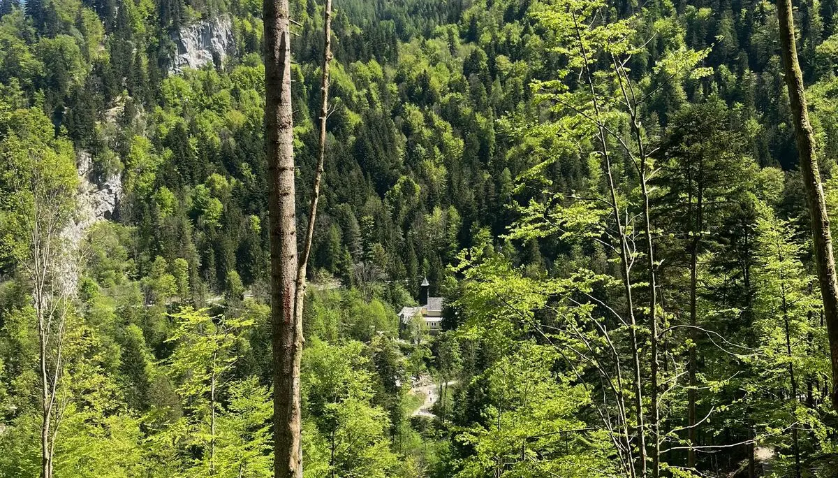 Schatzsuche | © DAV Laufen