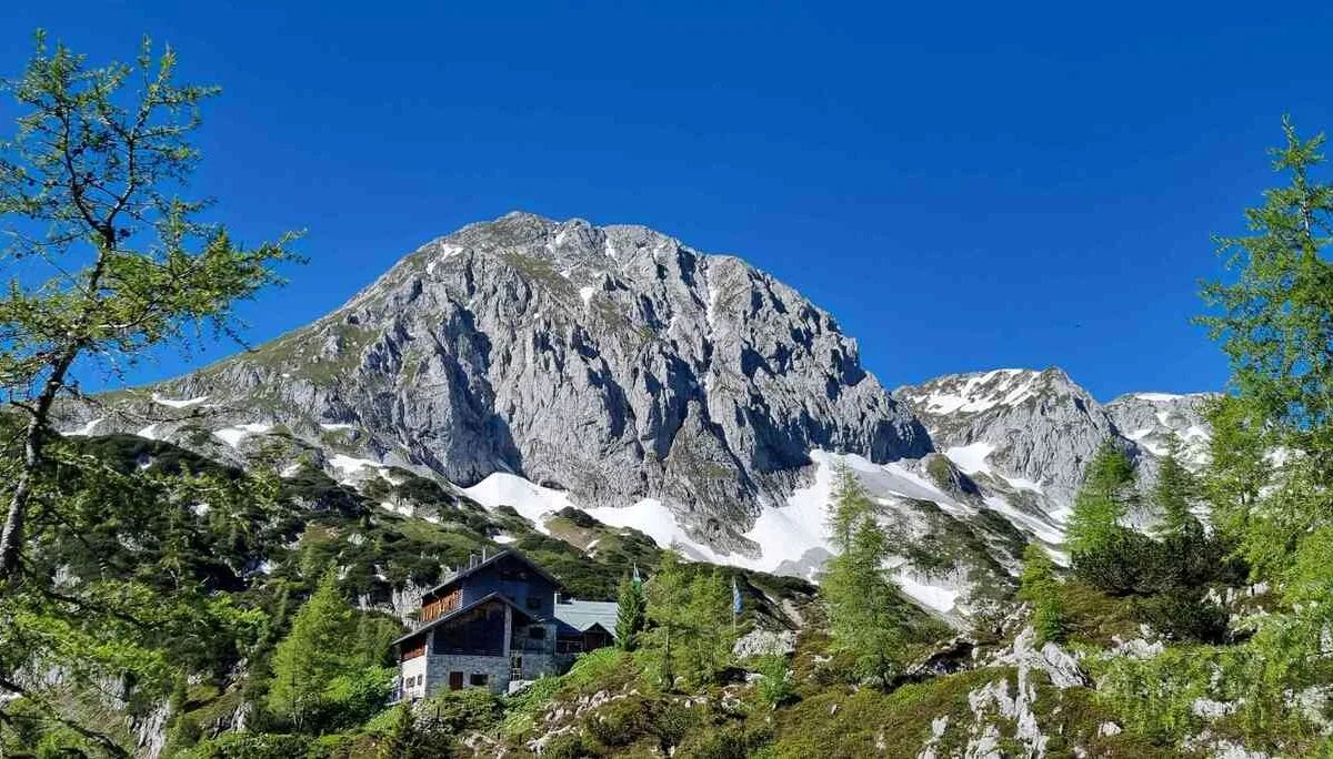 Bericht Laufener Hütte Kontrolle Klettergarten | © DAV Laufen