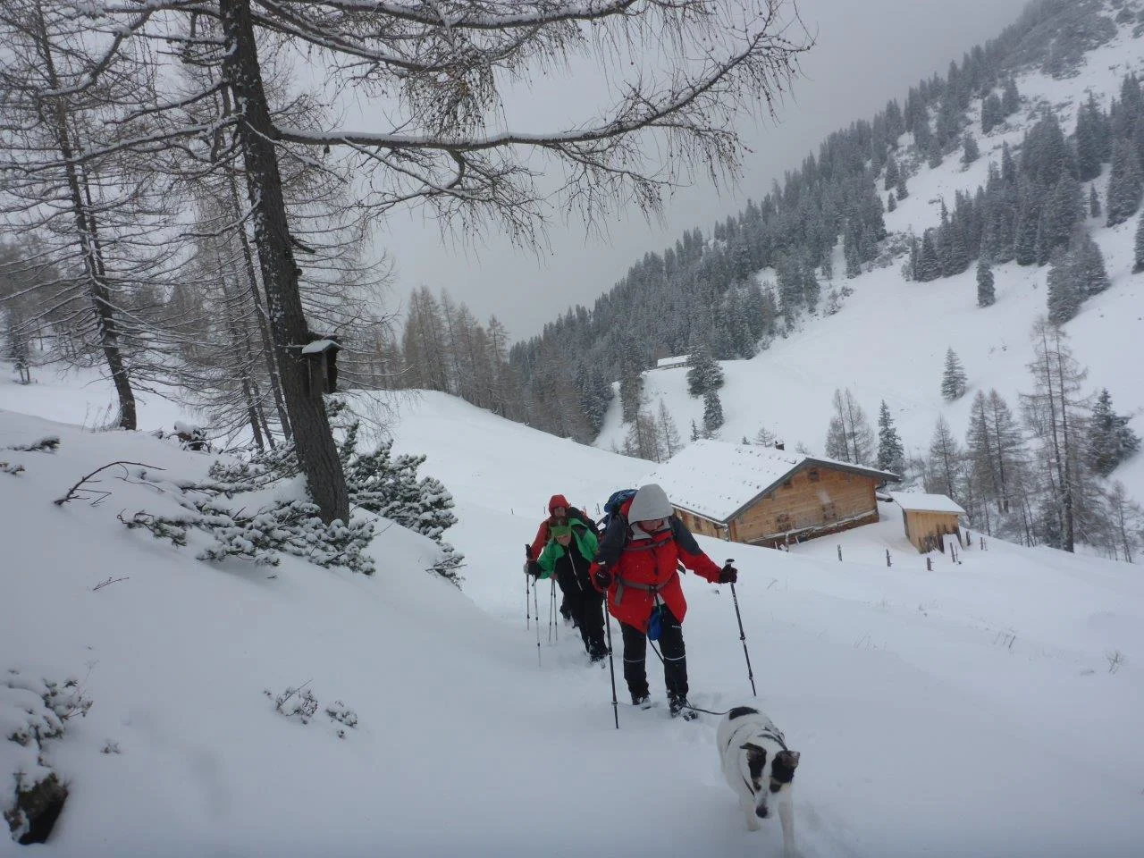 Die Senioren am Stahlhaus | © DAV Laufen