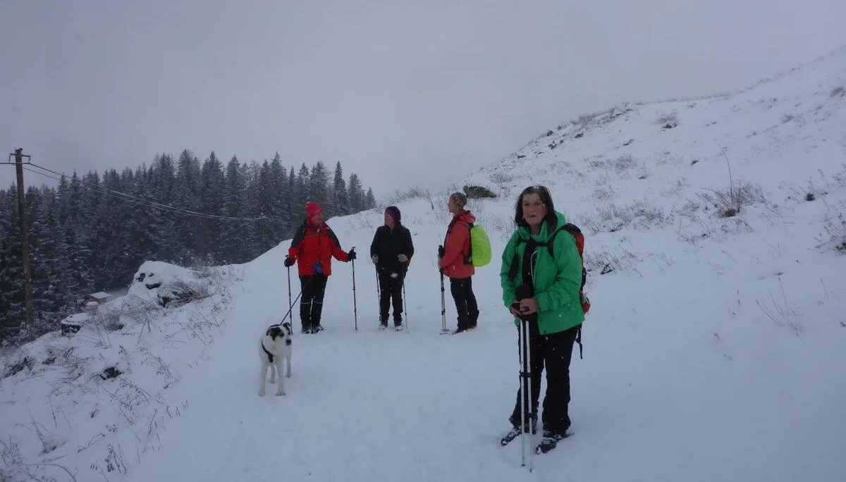 Die Senioren am Stahlhaus | © DAV Laufen