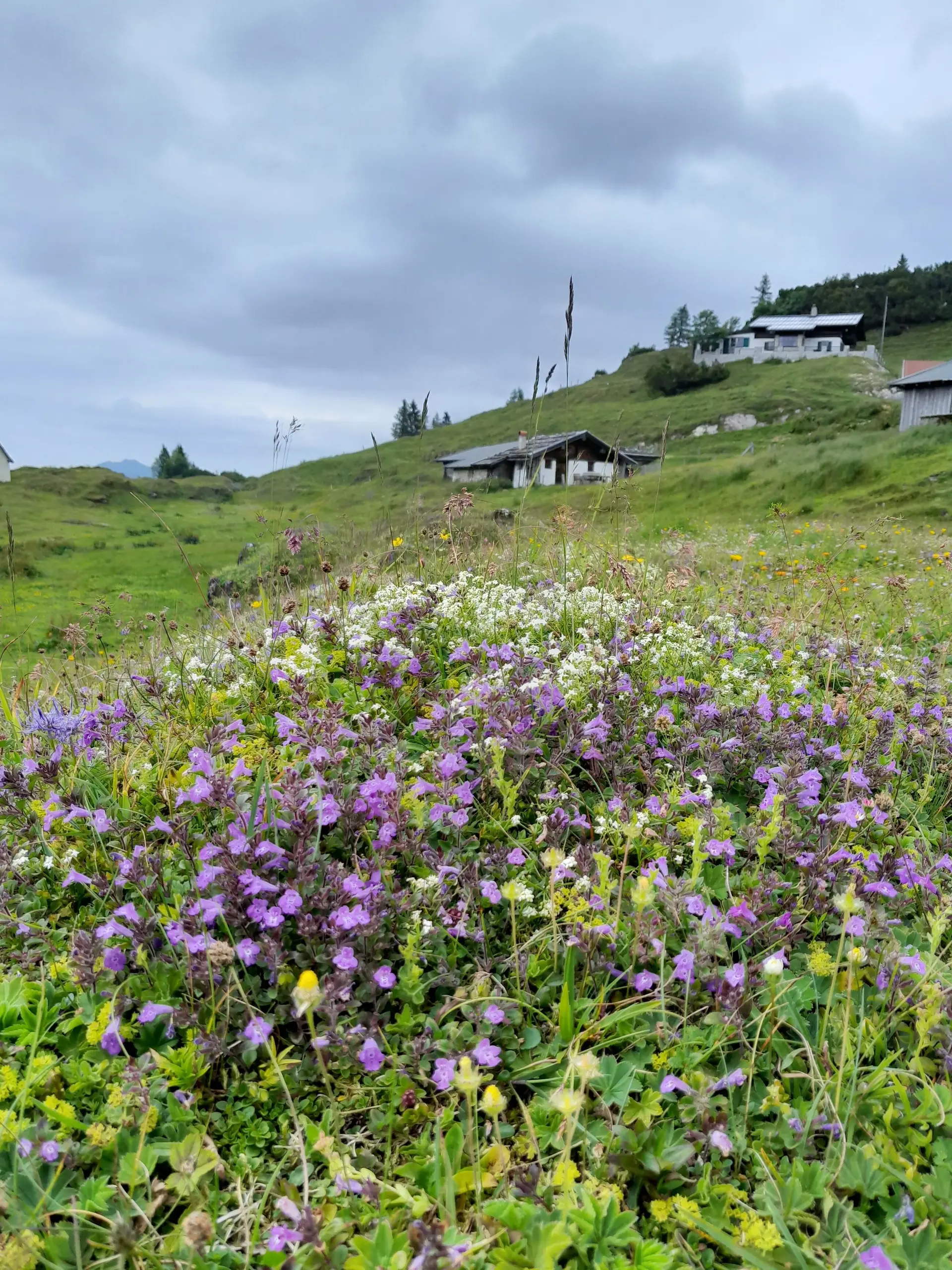 Fellhorn | © DAV Laufen