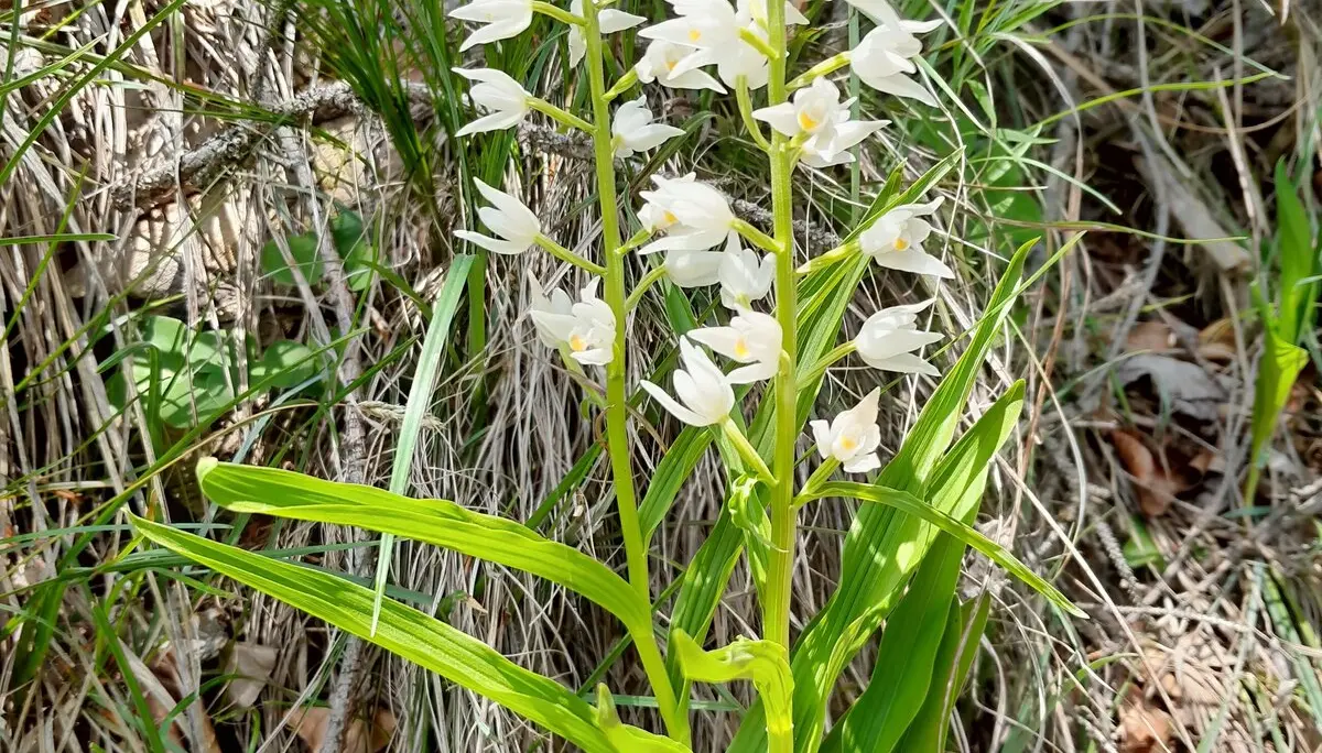 Höllenbachalm | © DAV Laufen