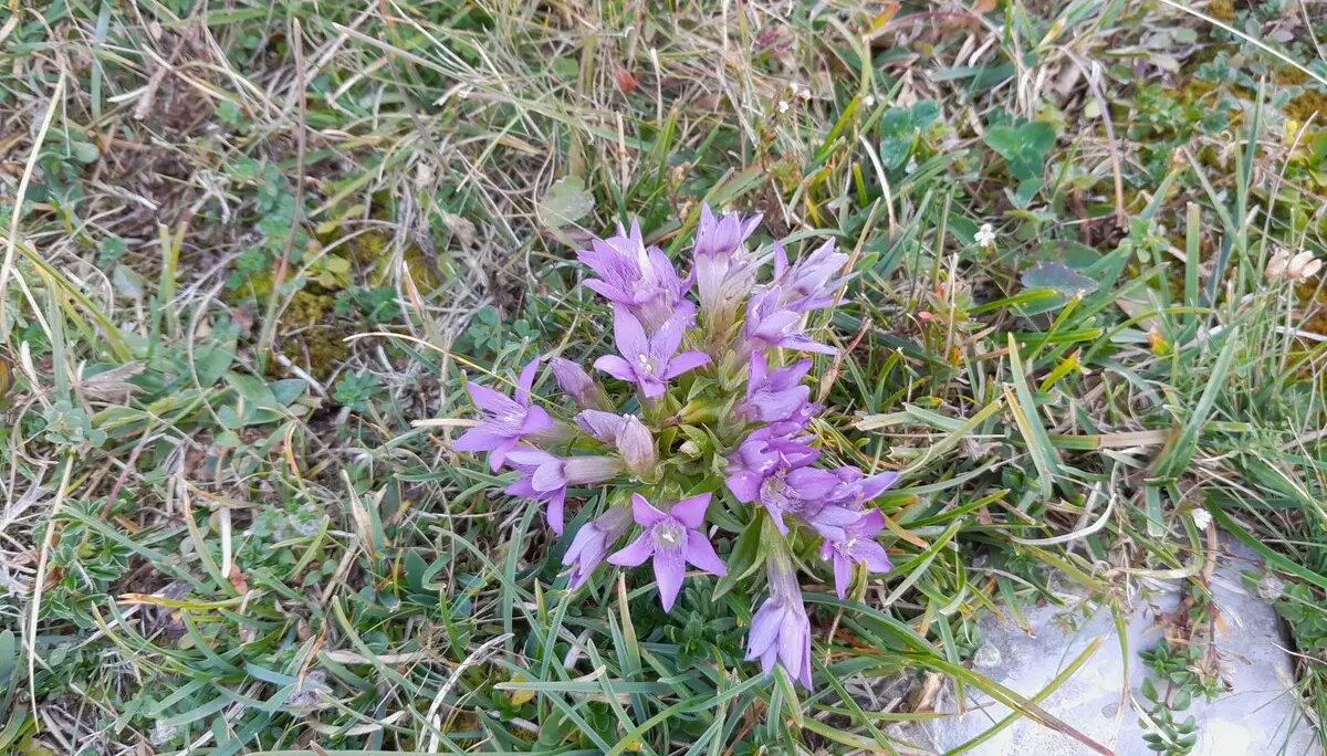 Hoher Zinken | © DAV Laufen