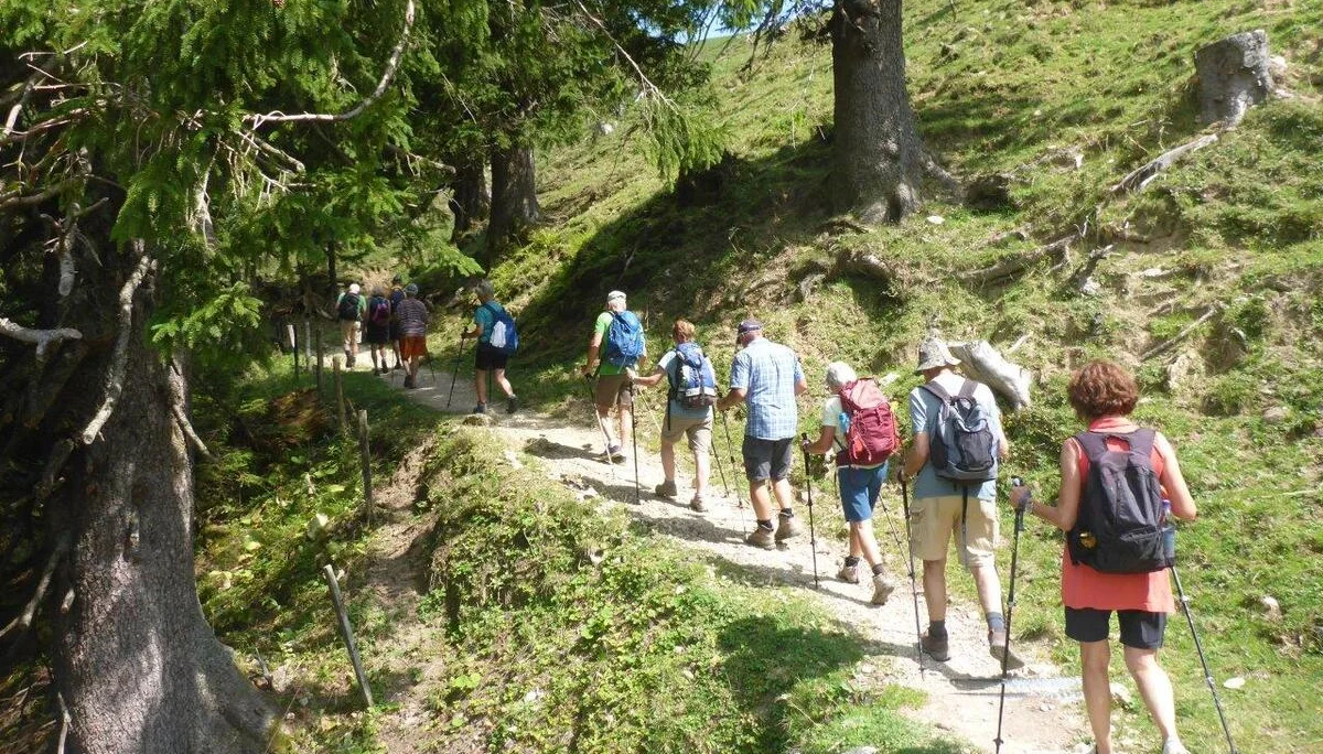 Piesenhausner Hochalm | © DAV Laufen