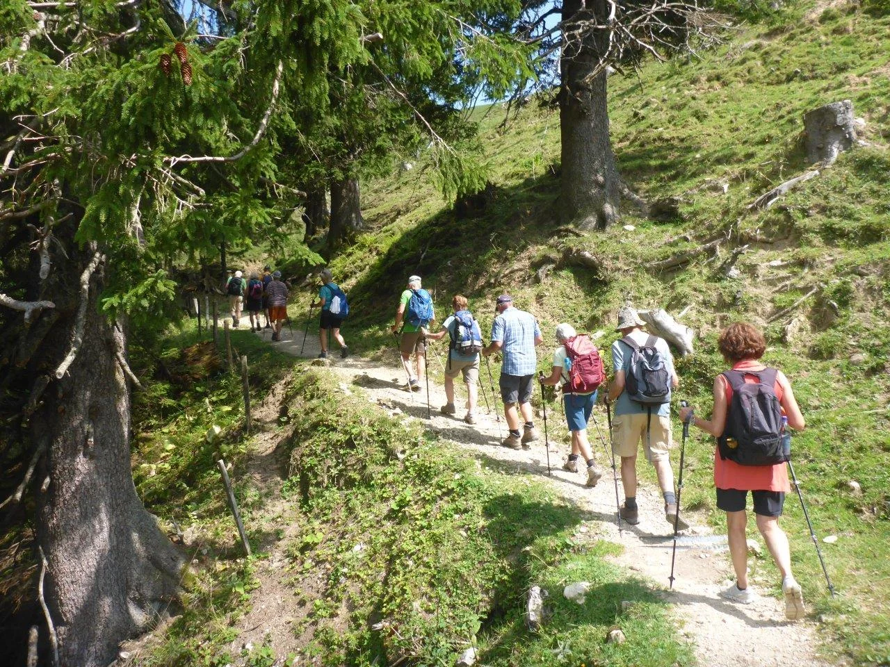 Piesenhausner Hochalm | © DAV Laufen