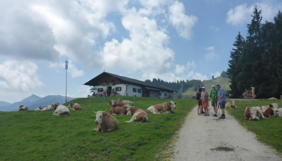 Piesenhausner Hochalm | © DAV Laufen