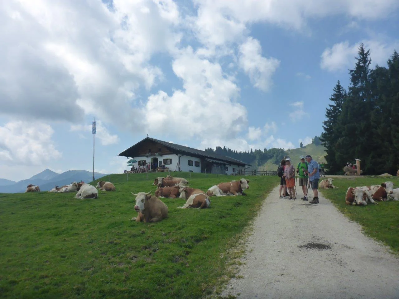 Piesenhausner Hochalm | © DAV Laufen