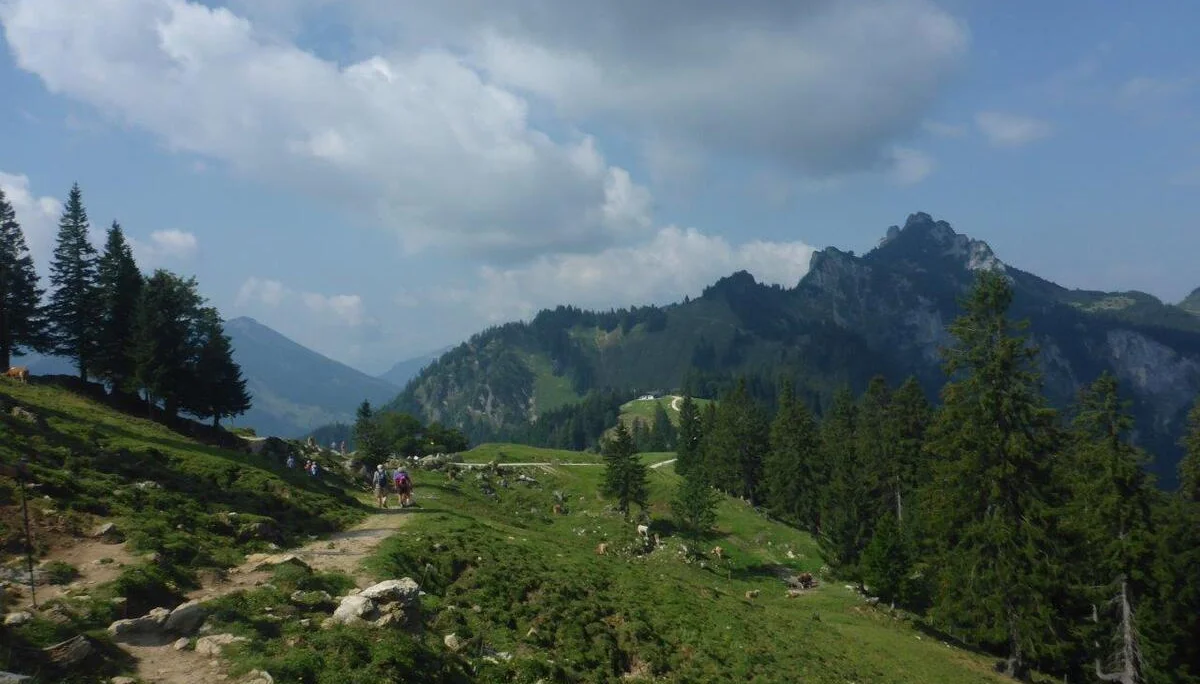 Piesenhausner Hochalm | © DAV Laufen