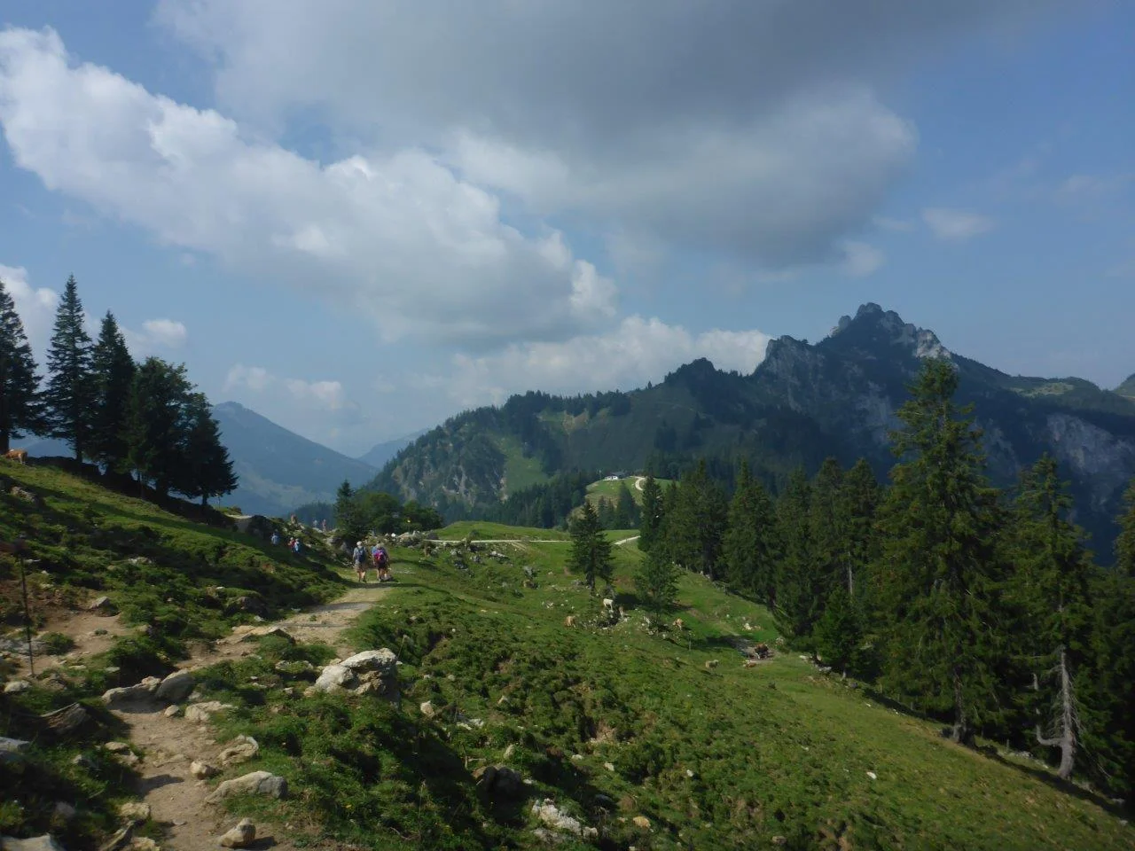 Piesenhausner Hochalm | © DAV Laufen