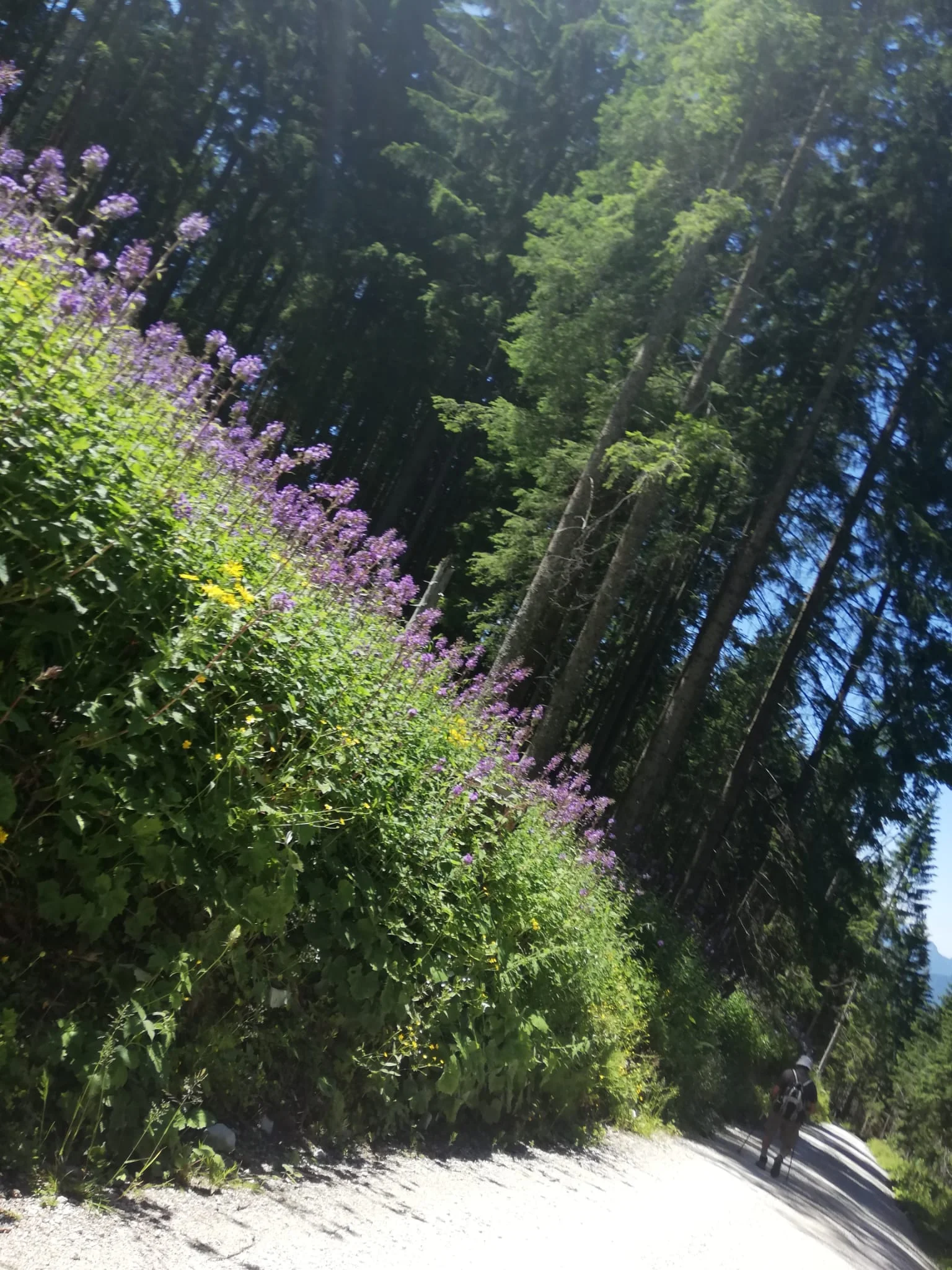 Purtschellerhaus | © DAV Laufen