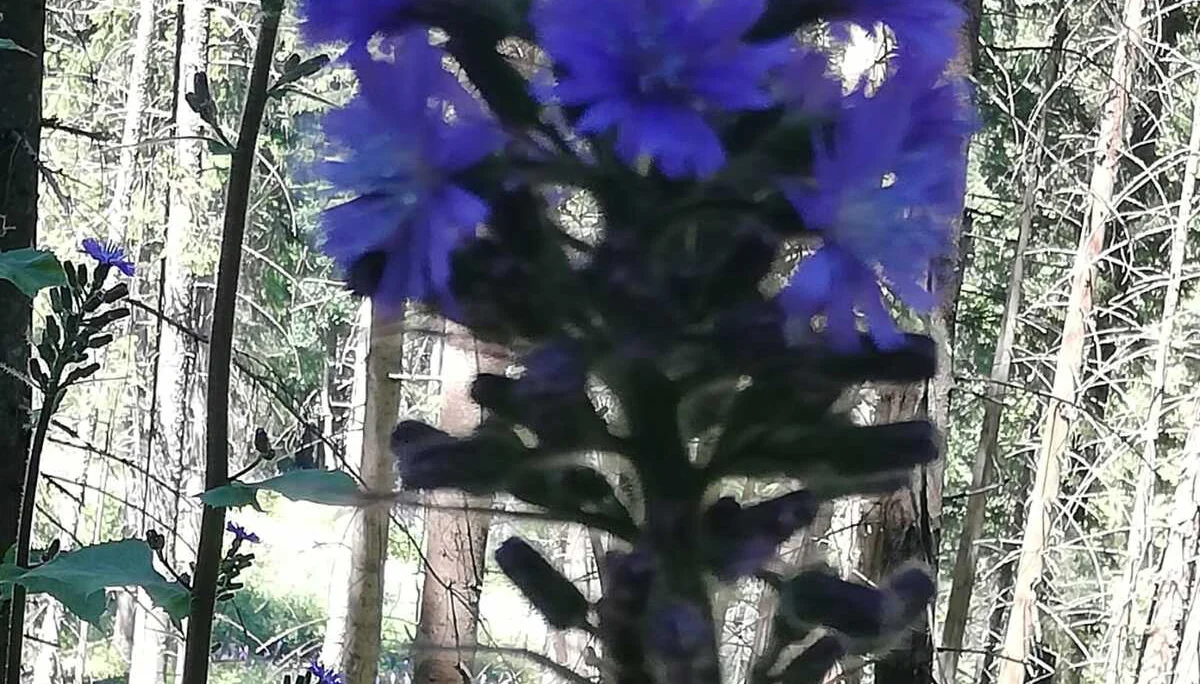 Purtschellerhaus | © DAV Laufen