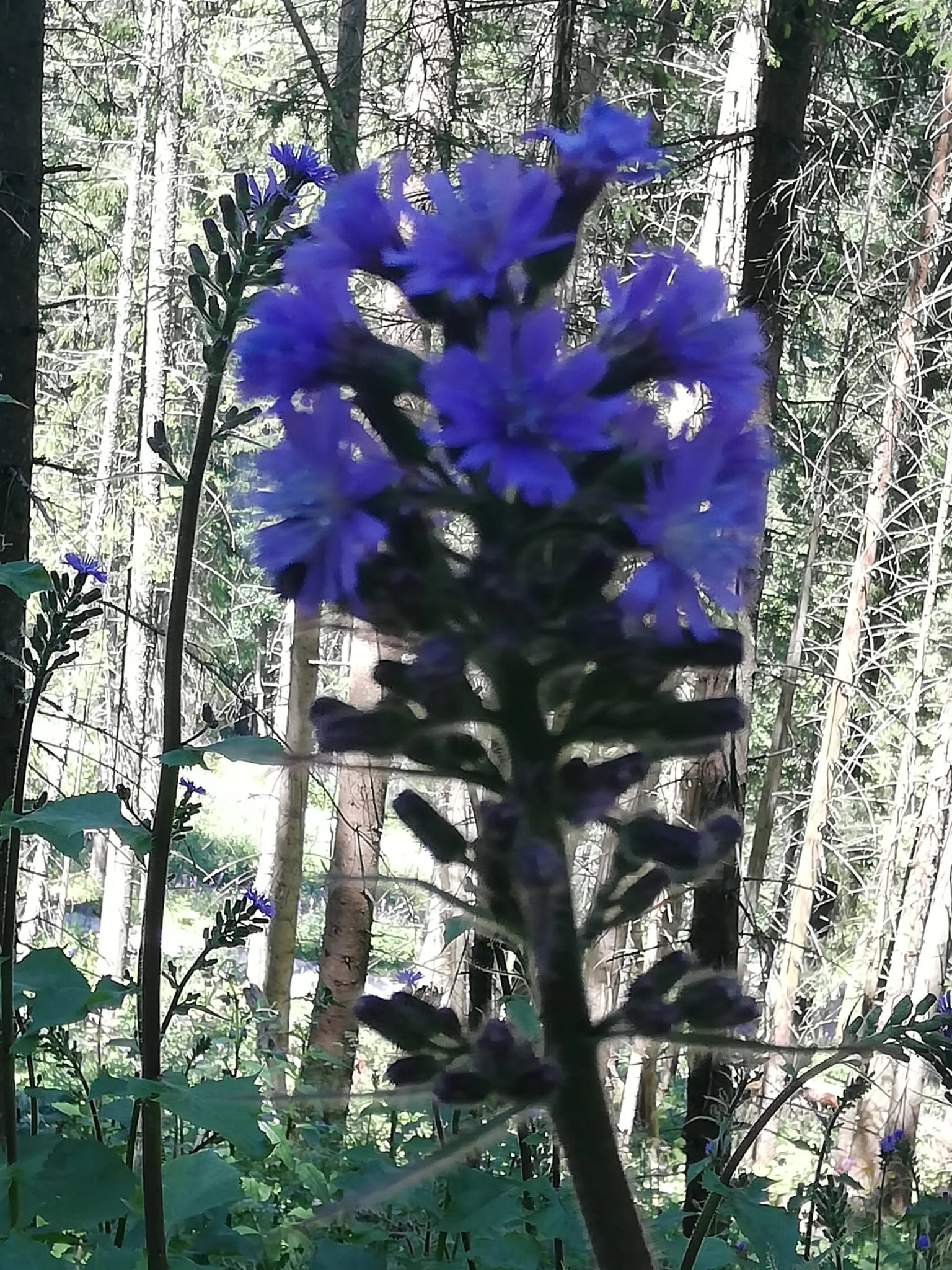 Purtschellerhaus | © DAV Laufen