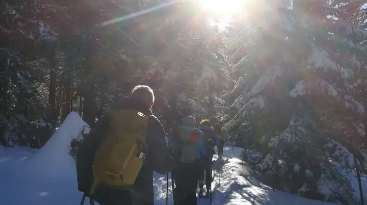 Roßfeld | © DAV Laufen