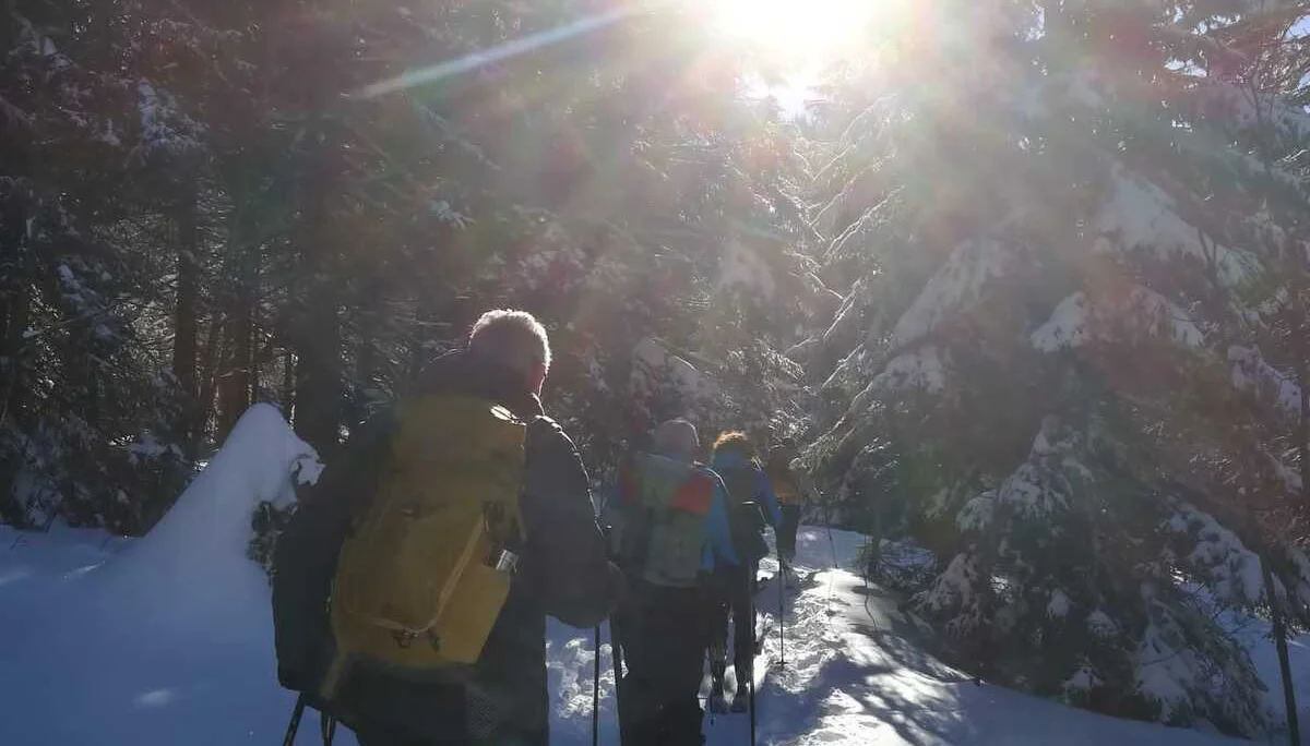 Roßfeld | © DAV Laufen