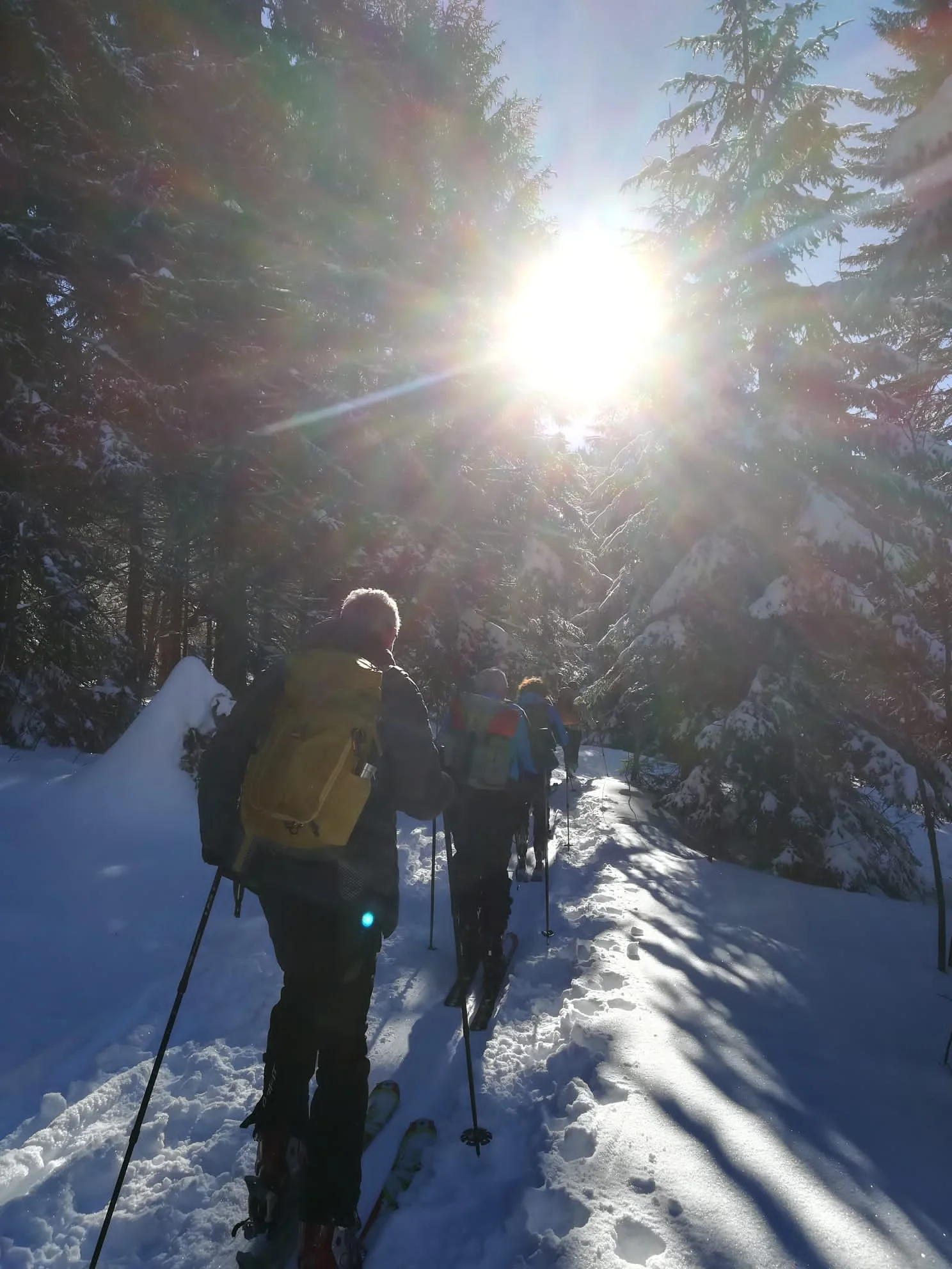 Roßfeld | © DAV Laufen