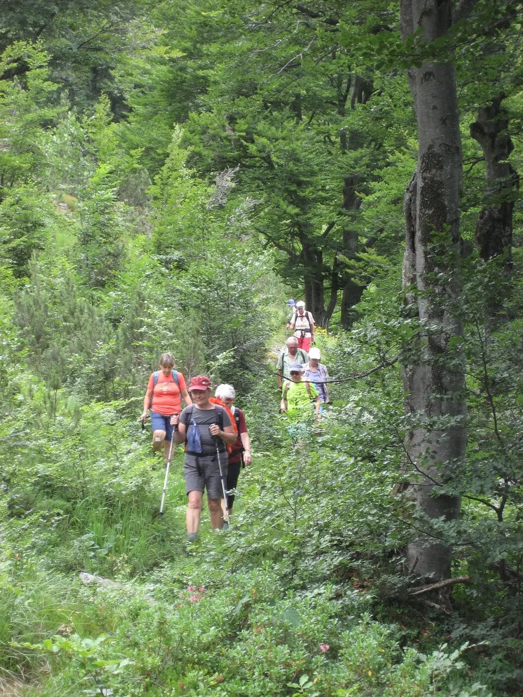 Seniorentour Steinerne Agnes | © DAV Laufen