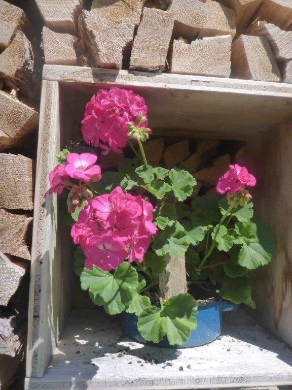 Stuhlalm | © DAV Laufen