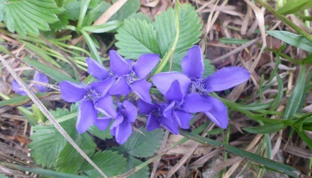 Hohe Asten | © DAV Laufen