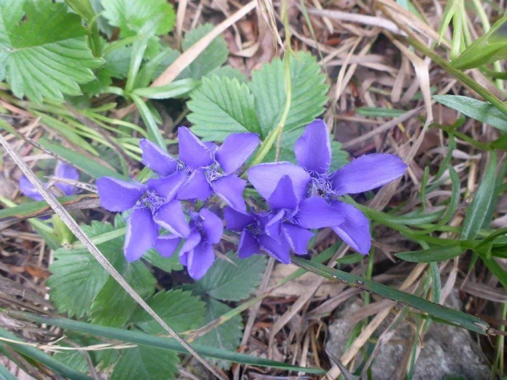 Hohe Asten | © DAV Laufen