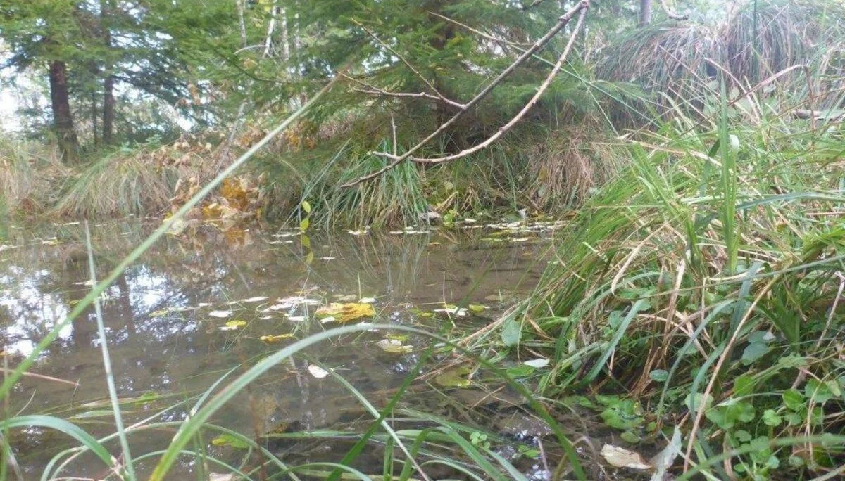 Hohe Asten | © DAV Laufen