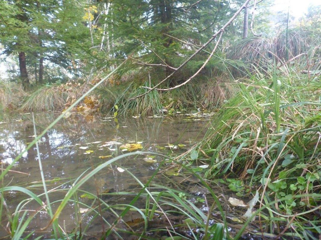 Hohe Asten | © DAV Laufen