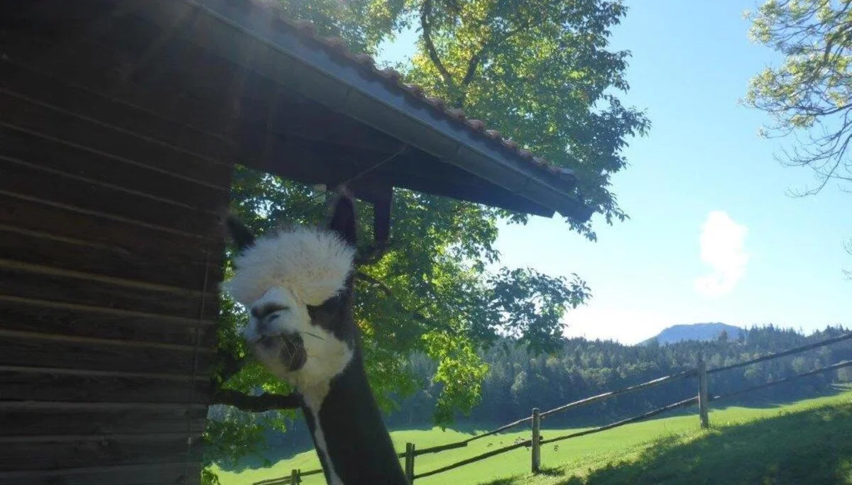 Hohe Asten | © DAV Laufen