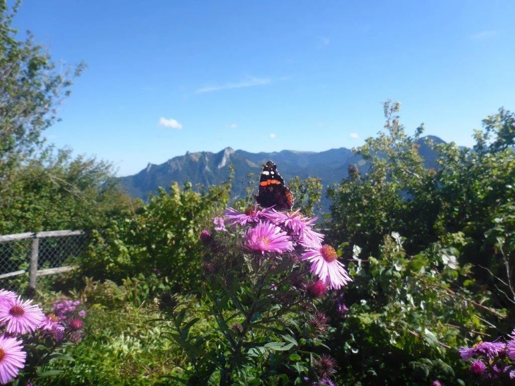 Hohe Asten | © DAV Laufen
