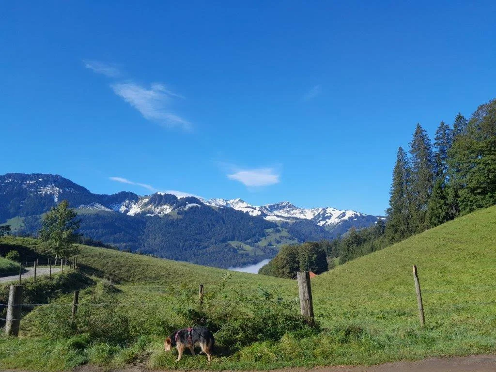 Hohe Asten | © DAV Laufen