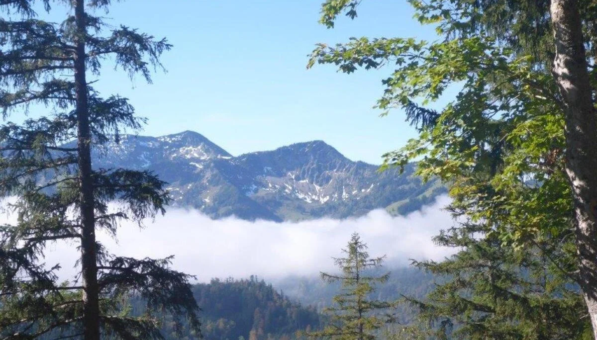 Hohe Asten | © DAV Laufen