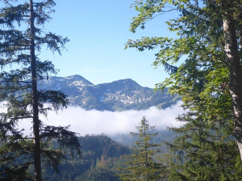 Hohe Asten | © DAV Laufen