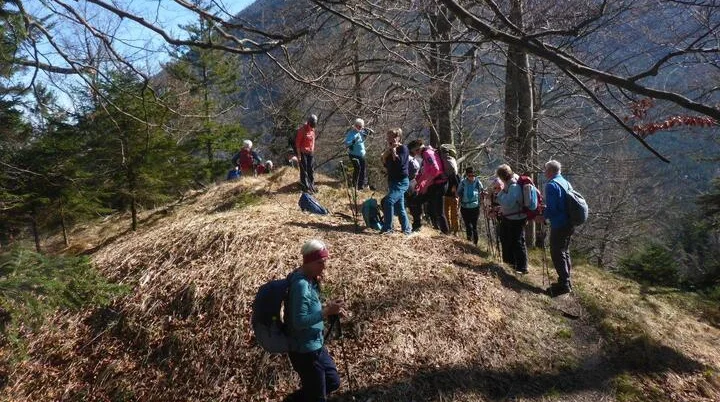 Freimahderköpfl | © DAV Laufen